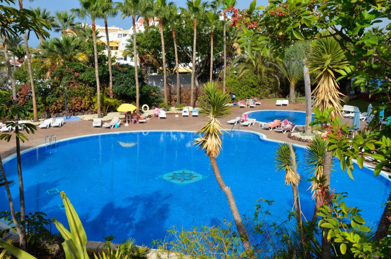 Cozy Studio Las Americas Playa de las Américas Eksteriør billede